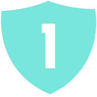 sheild1