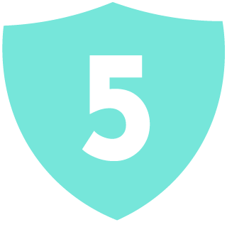 sheild5
